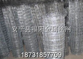 煤礦支護(hù)網(wǎng)